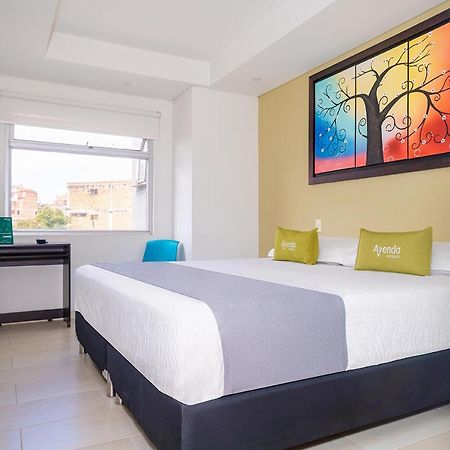 Hotel Oasis ريونيغرو المظهر الخارجي الصورة