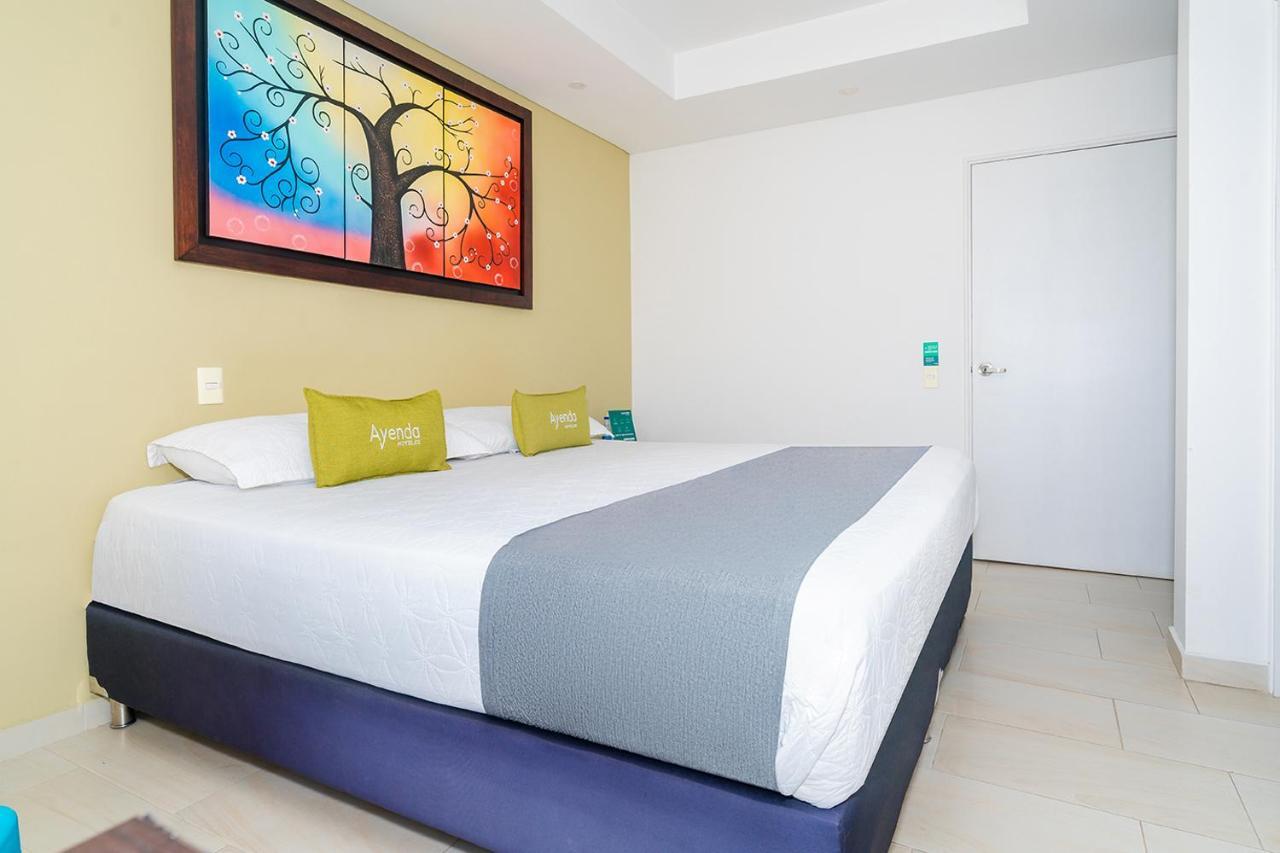 Hotel Oasis ريونيغرو المظهر الخارجي الصورة